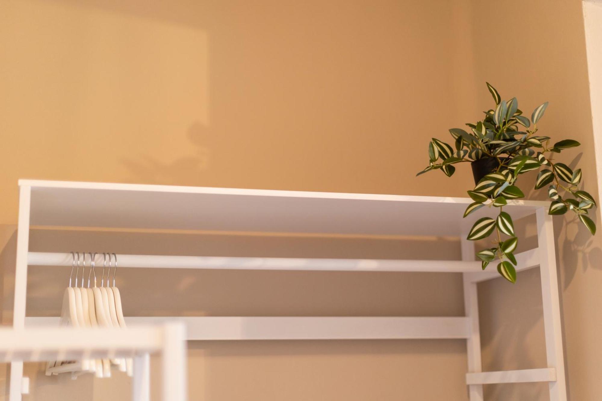 Apartamentos Gurugu 里瓦德奥 外观 照片